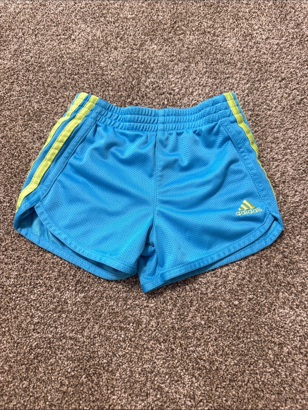 adidas Bright Aqua Athletic Shorts with Lime Accent
